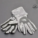 دستکش The North Face DENALI THERMAL ETIP GLOVE - تصویر 9