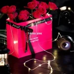 چراغ ریسه‌ای کمپینگ و تزیینی ۱۰ متری بلک داگ مدل BLACKDOG CBD2450ZM017 - تصویر 6
